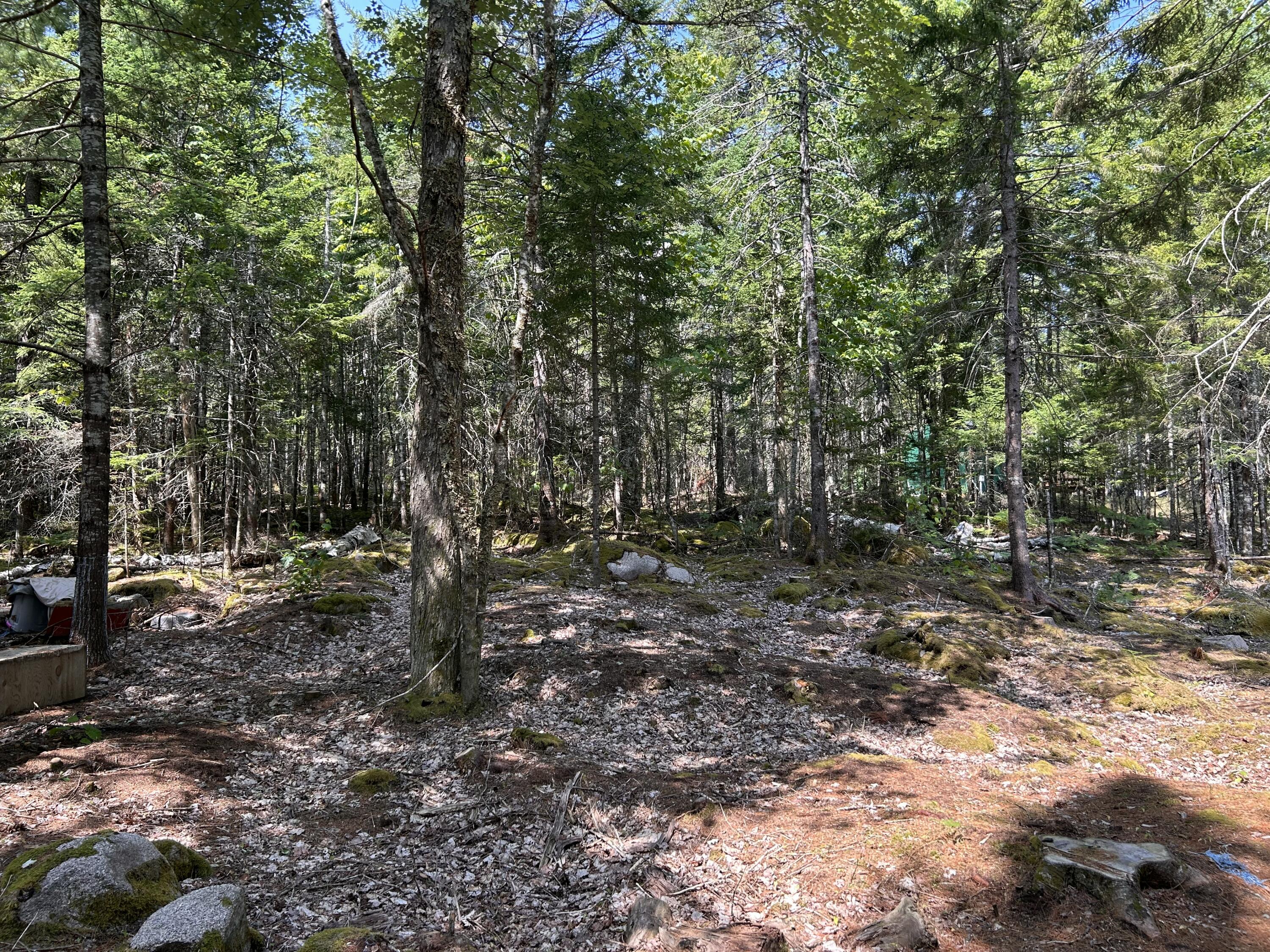 31 Sportsmen's Lodge Road Marshfield ME 04654