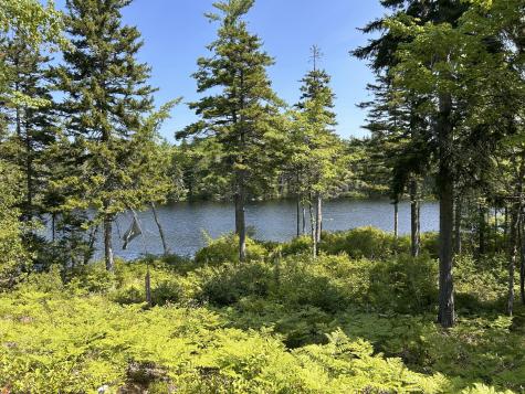 31 Sportsmen's Lodge Road Marshfield ME 04654