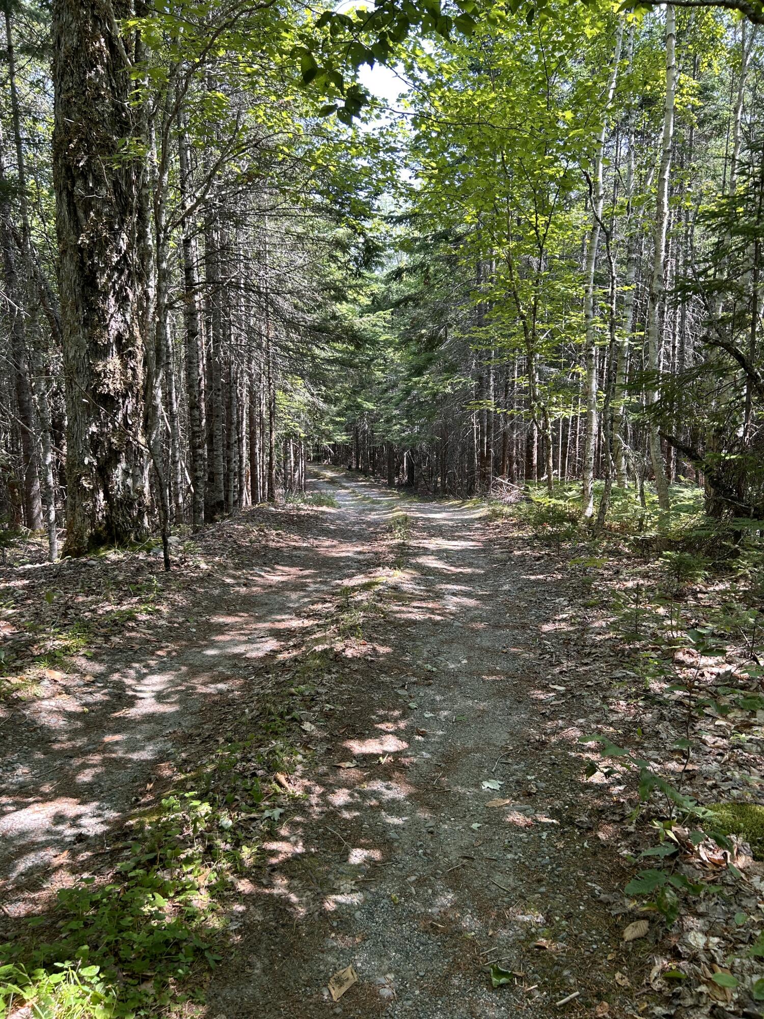 31 Sportsmen's Lodge Road Marshfield ME 04654