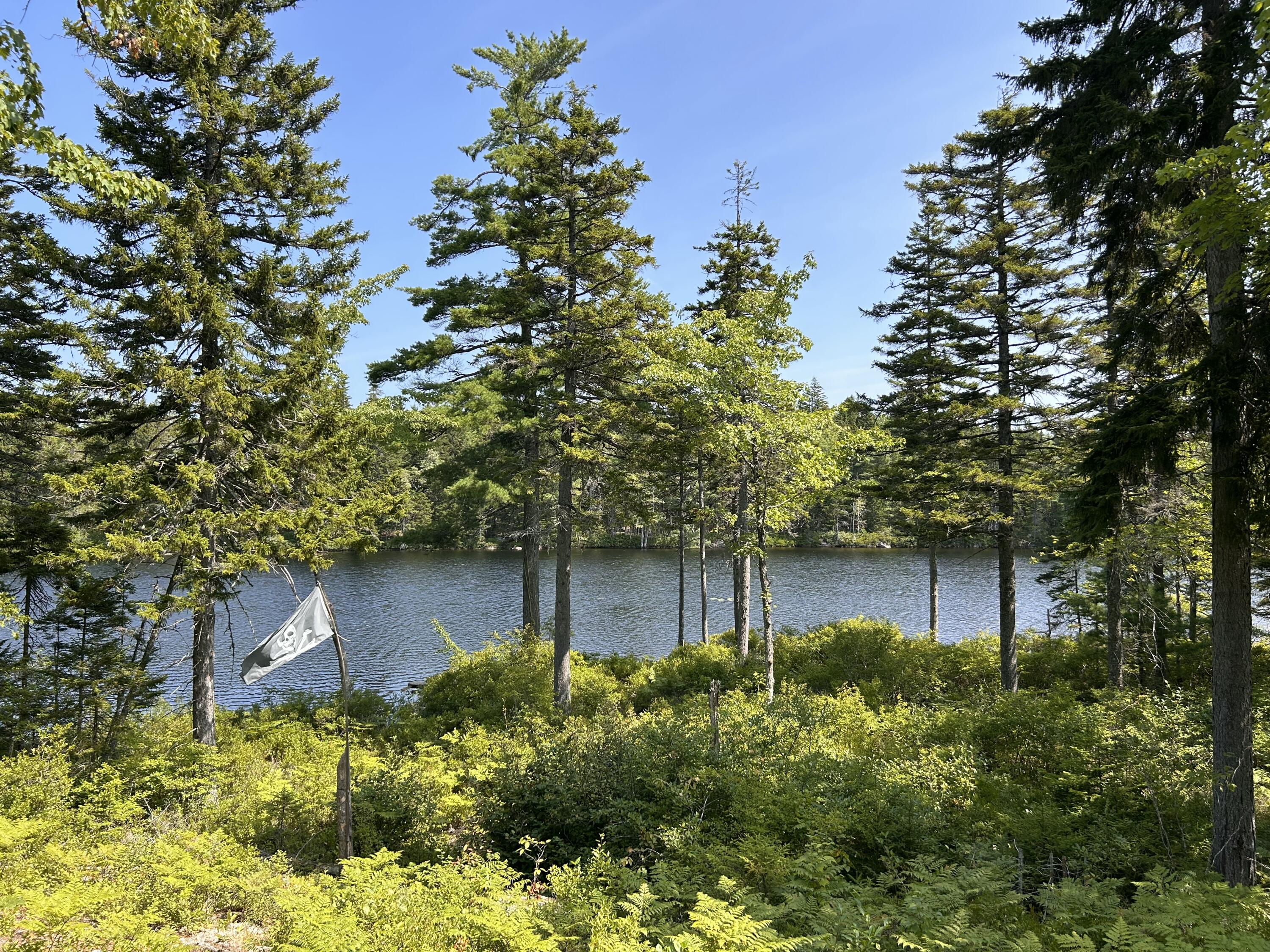 31 Sportsmen's Lodge Road Marshfield ME 04654