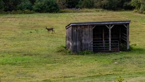 427 Mount Pisgah Road Winthrop ME 04364