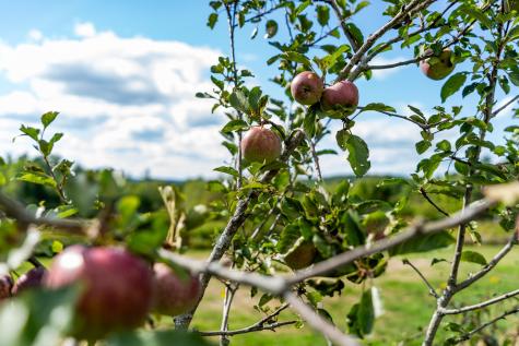 427 Mount Pisgah Road Winthrop ME 04364