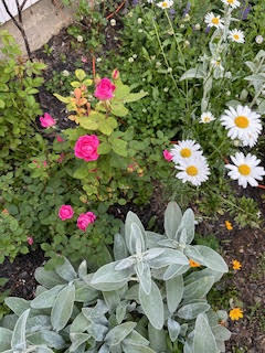 110 Bennett Road New Gloucester ME 04260