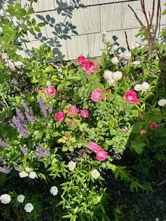 110 Bennett Road New Gloucester ME 04260