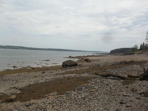 10 Dochet Lane Robbinston ME 04671