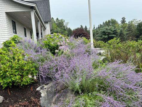 19 Vista Way Mount Desert ME 04660