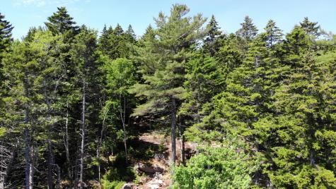 297 High Head Road East Machias ME 04630