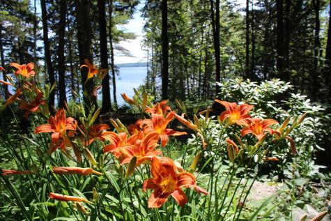 297 High Head Road East Machias ME 04630