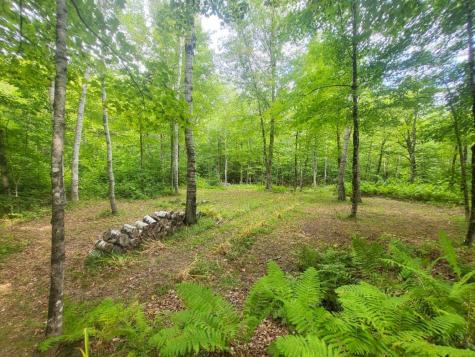 189 Basin Road Carthage ME 04224