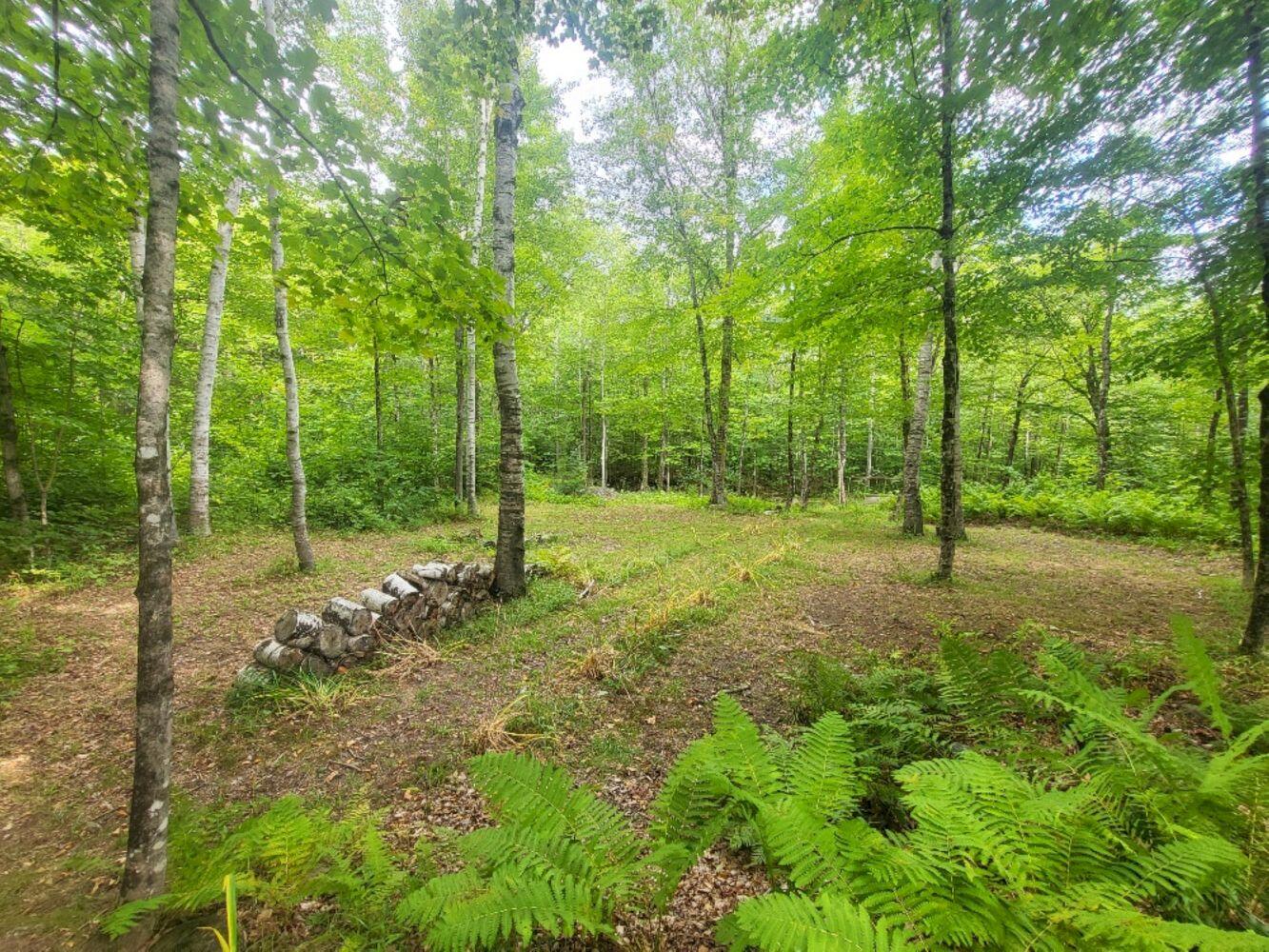 189 Basin Road Carthage ME 04224