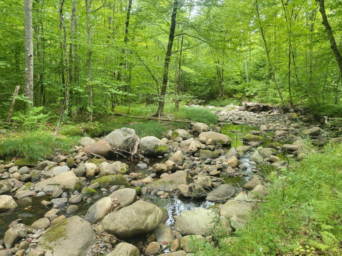 189 Basin Road Carthage ME 04224