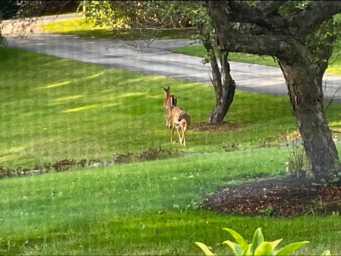 280 Flaggy Meadow Road Gorham ME 04038