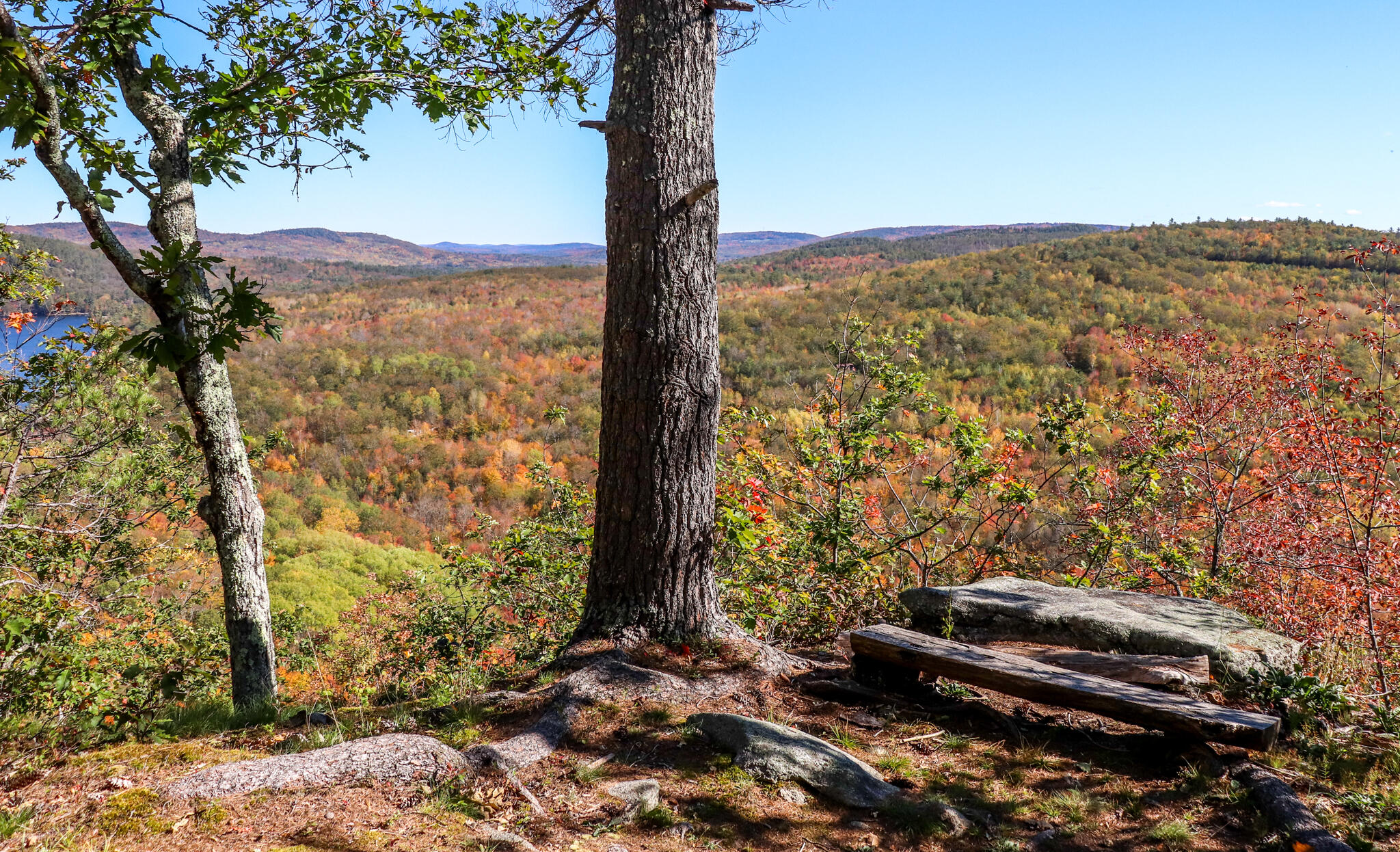 859 Maine Street Stoneham ME 04231