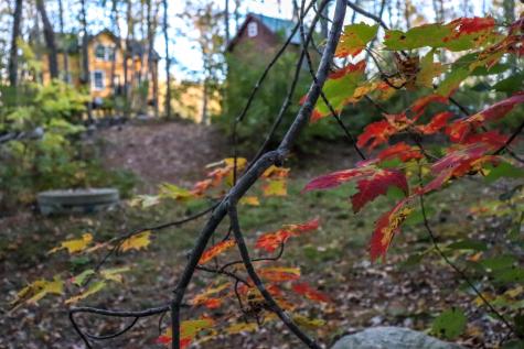 859 Maine Street Stoneham ME 04231