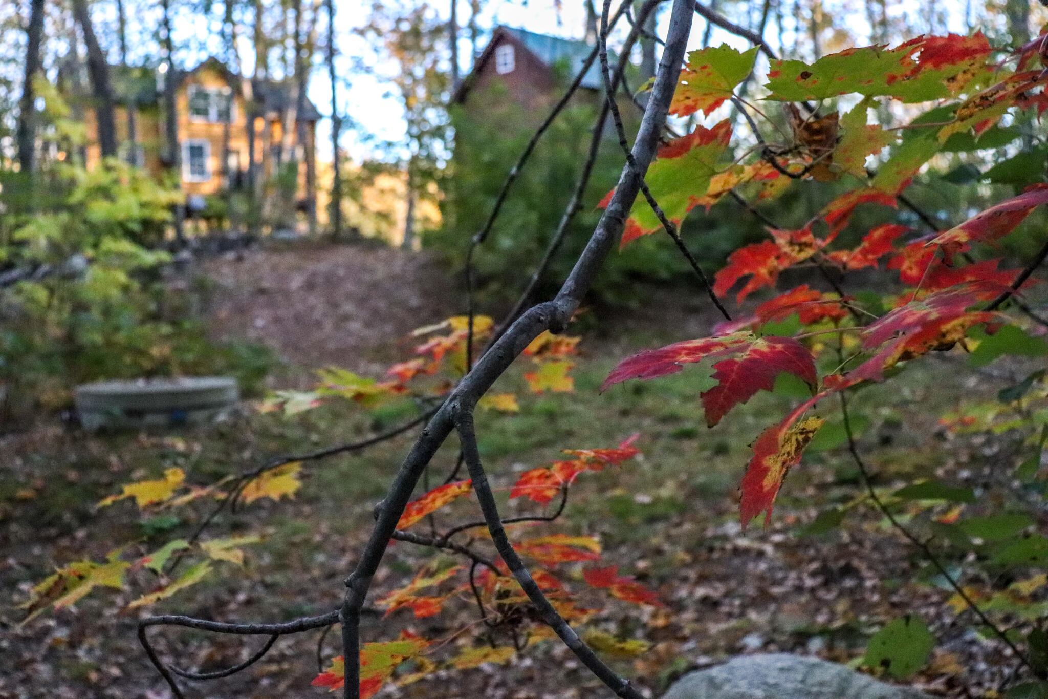 859 Maine Street Stoneham ME 04231