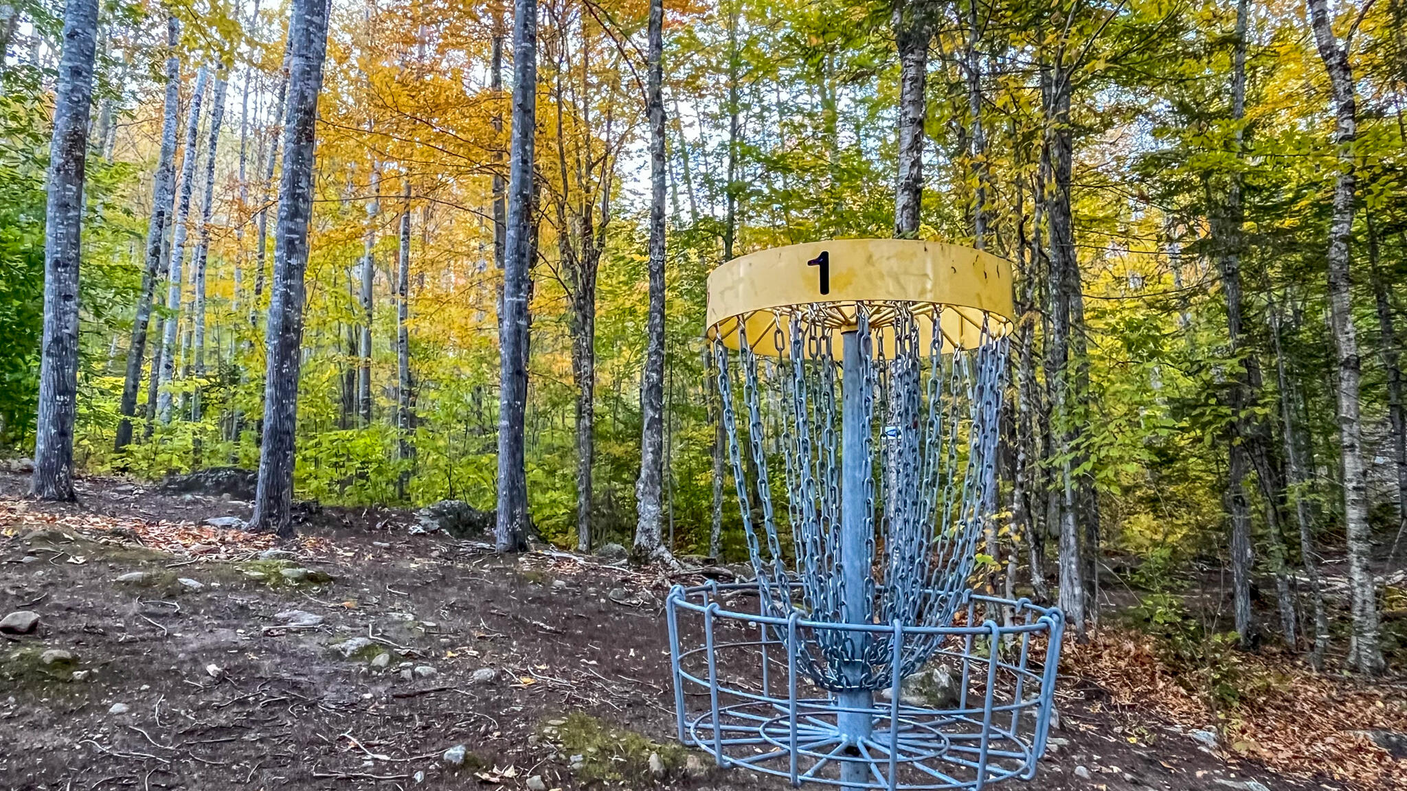 859 Maine Street Stoneham ME 04231