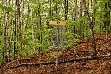 859 Maine Street Stoneham ME 04231