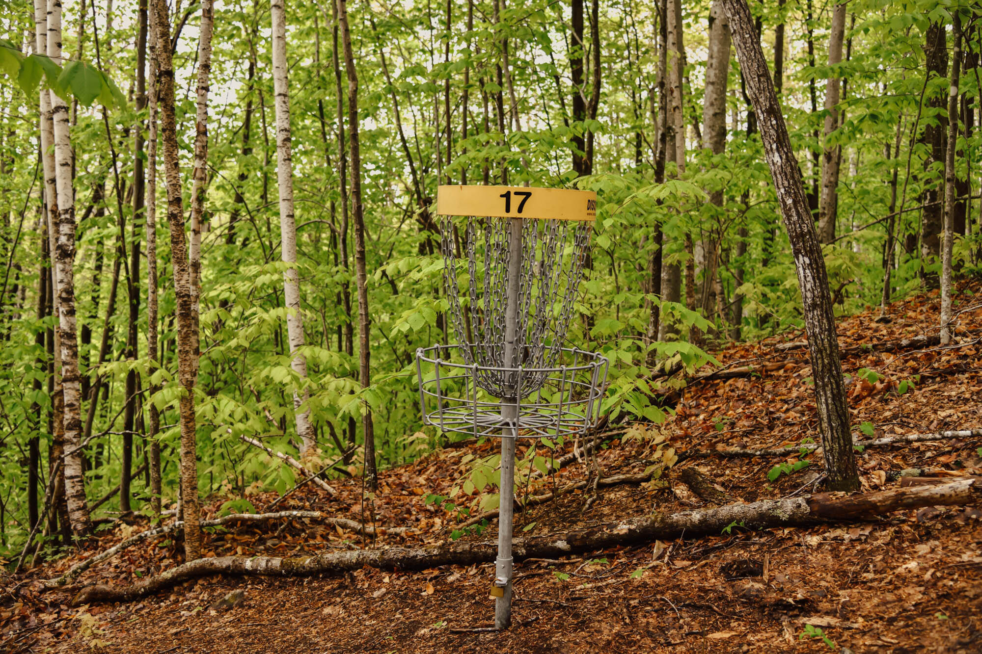 859 Maine Street Stoneham ME 04231