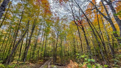 859 Maine Street Stoneham ME 04231