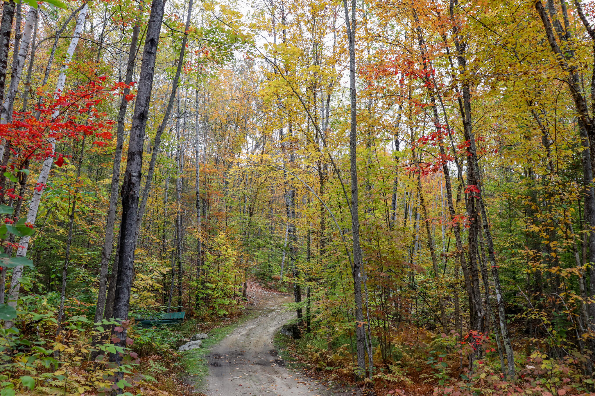 859 Maine Street Stoneham ME 04231