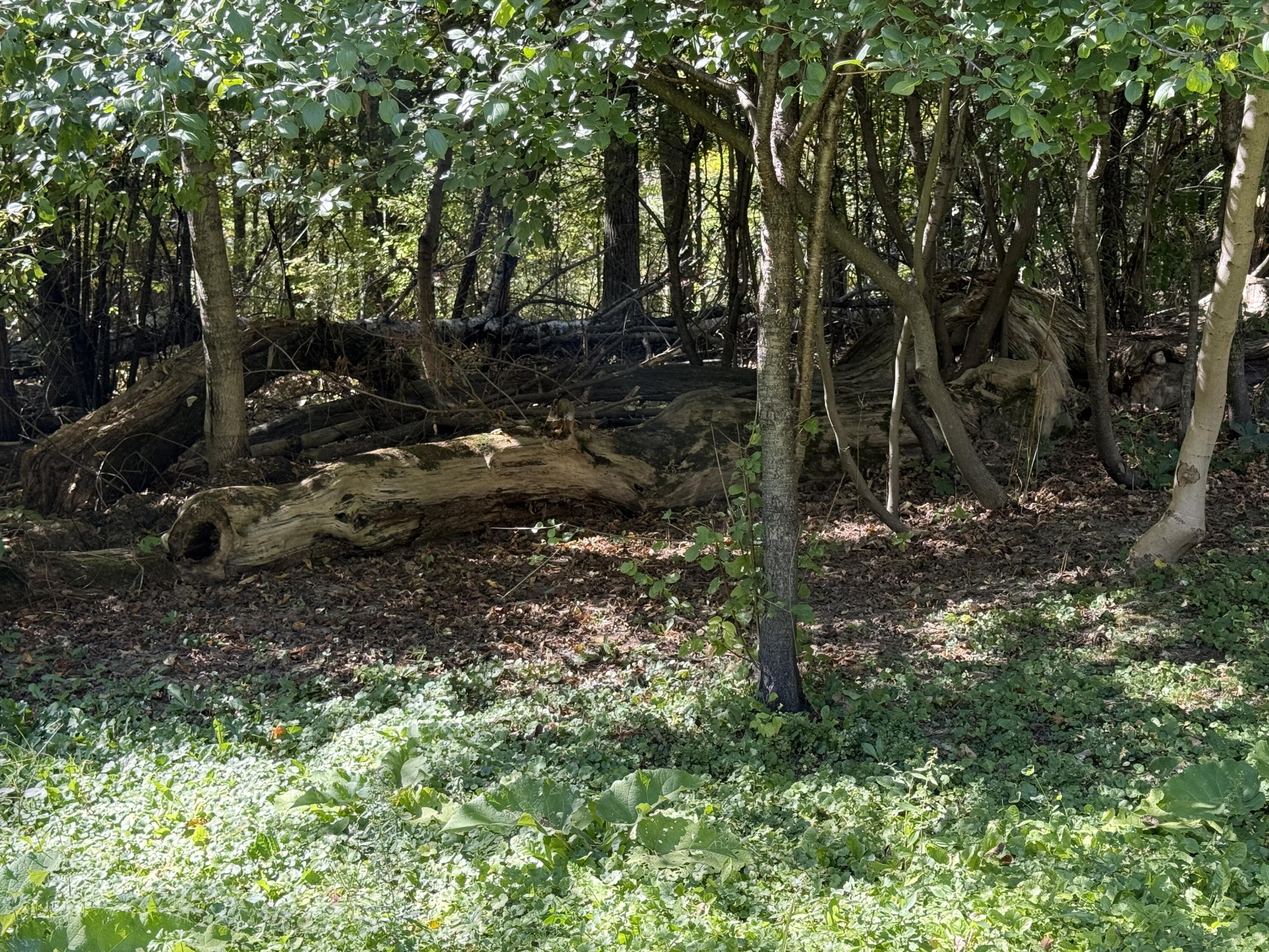 1068 Main Street Vassalboro ME 04989