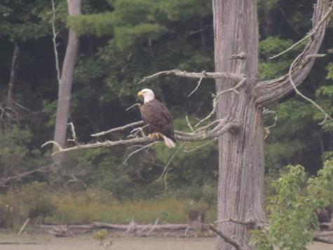 79 Fernwood Loop Lyman ME 04002