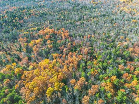 843 E Benton Road Benton ME 04901