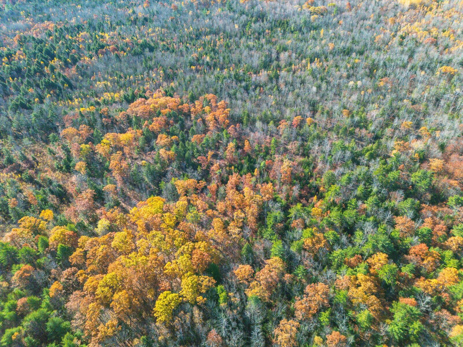 843 E Benton Road Benton ME 04901