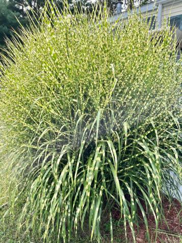 3 Stagecoach Drive Old Orchard Beach ME 04064