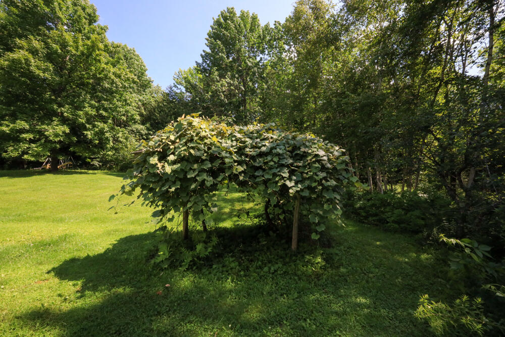 25 Carter Road Etna ME 04434