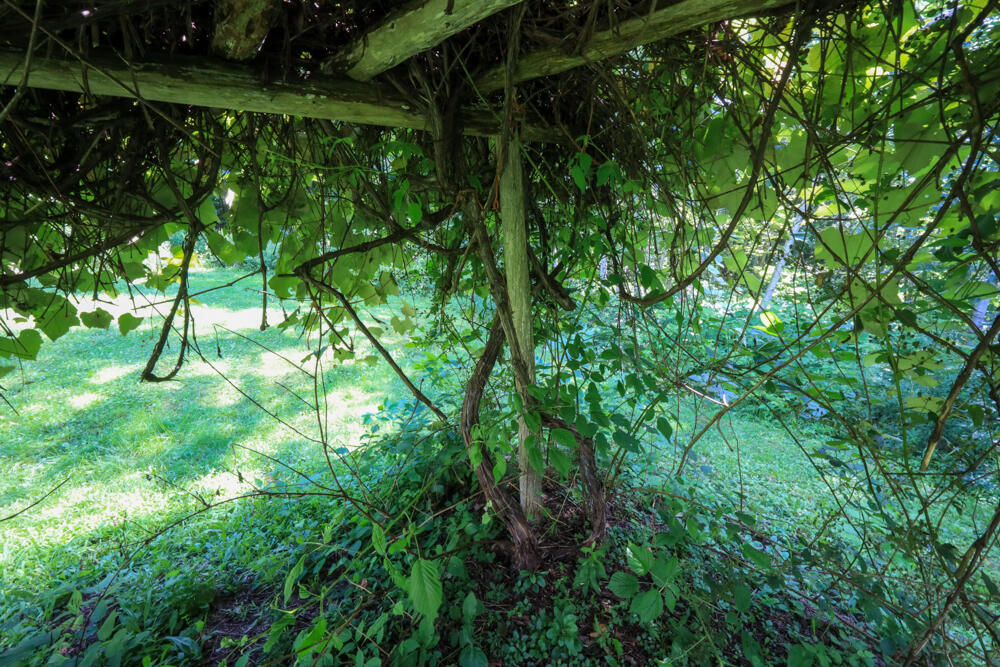 25 Carter Road Etna ME 04434