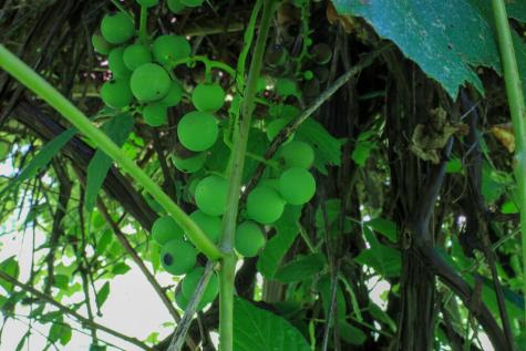 25 Carter Road Etna ME 04434