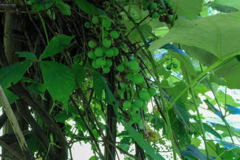 25 Carter Road Etna ME 04434