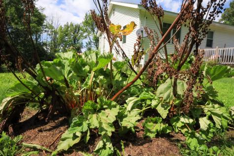 25 Carter Road Etna ME 04434