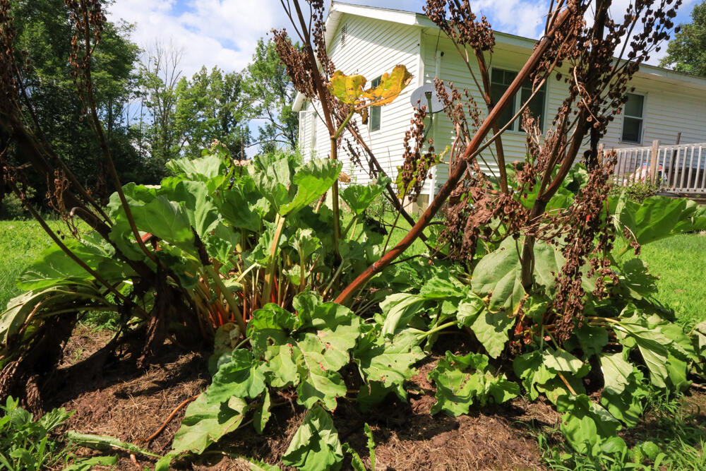 25 Carter Road Etna ME 04434