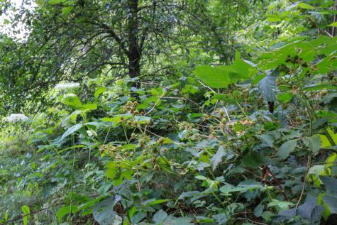 25 Carter Road Etna ME 04434