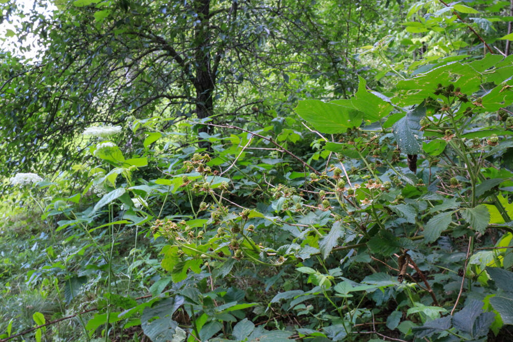 25 Carter Road Etna ME 04434