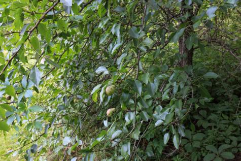 25 Carter Road Etna ME 04434