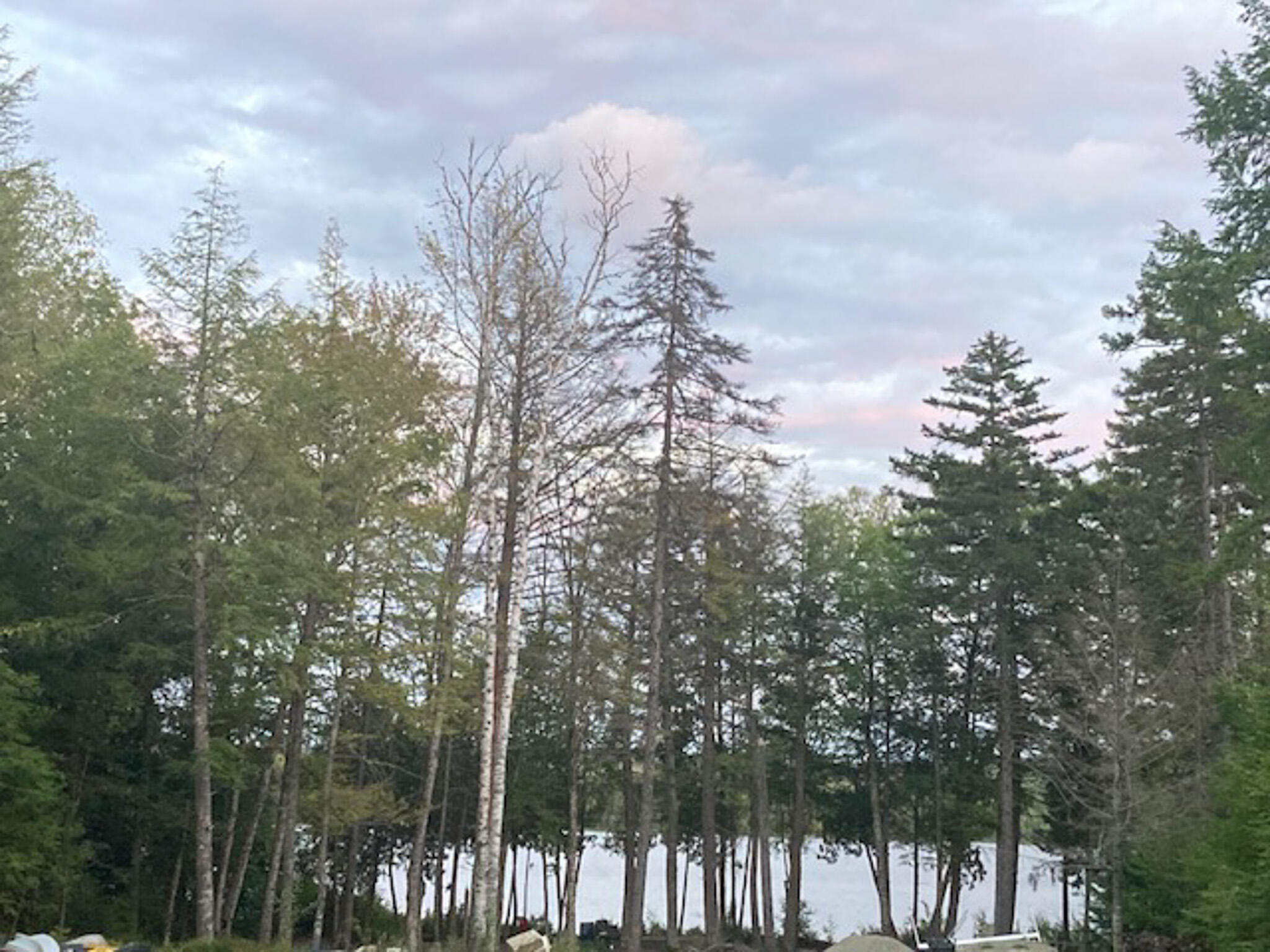 143 Egg Pond Road Lincoln ME 04457