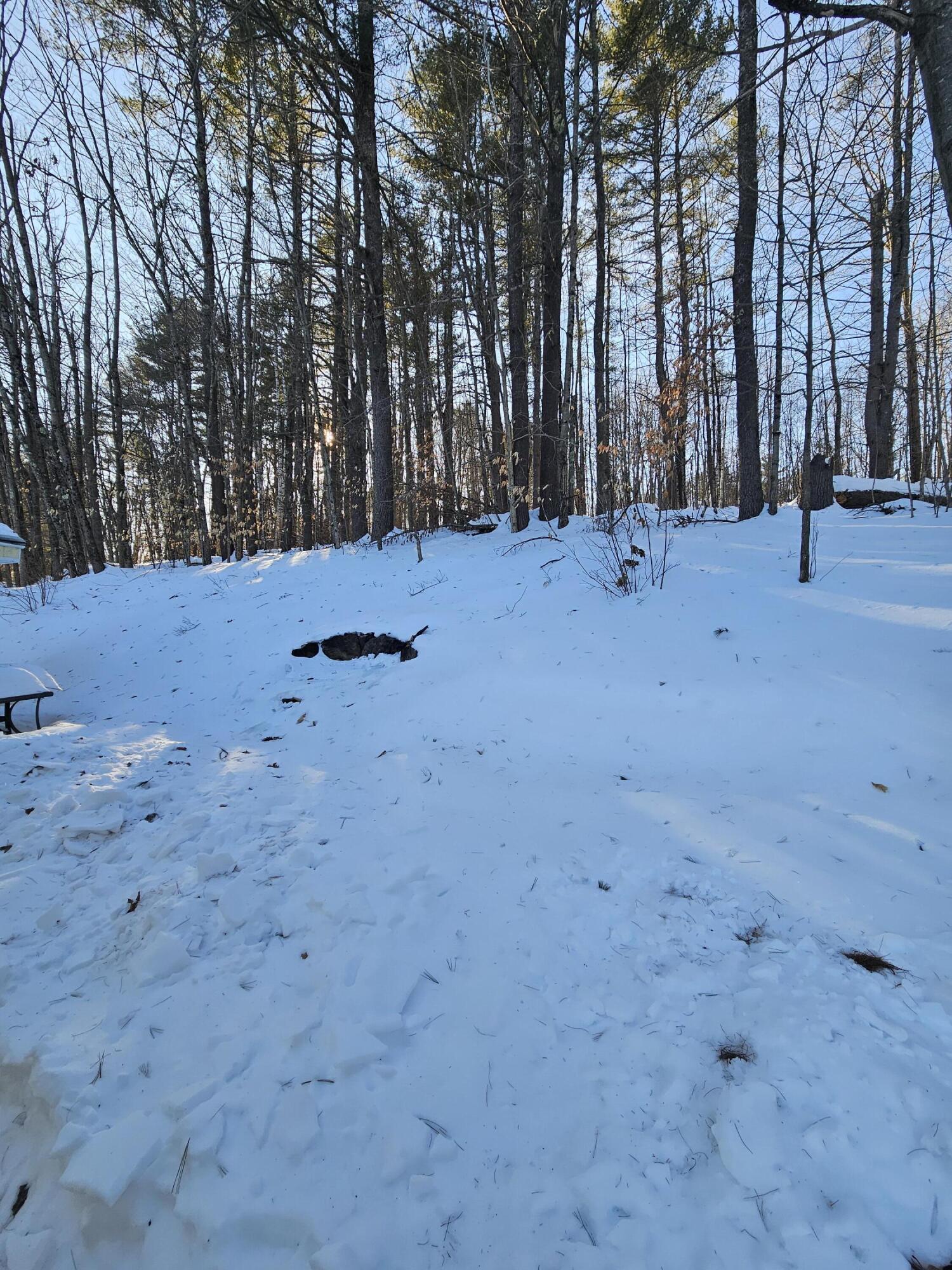 152 North Daggett Hill Road Greene ME 04236