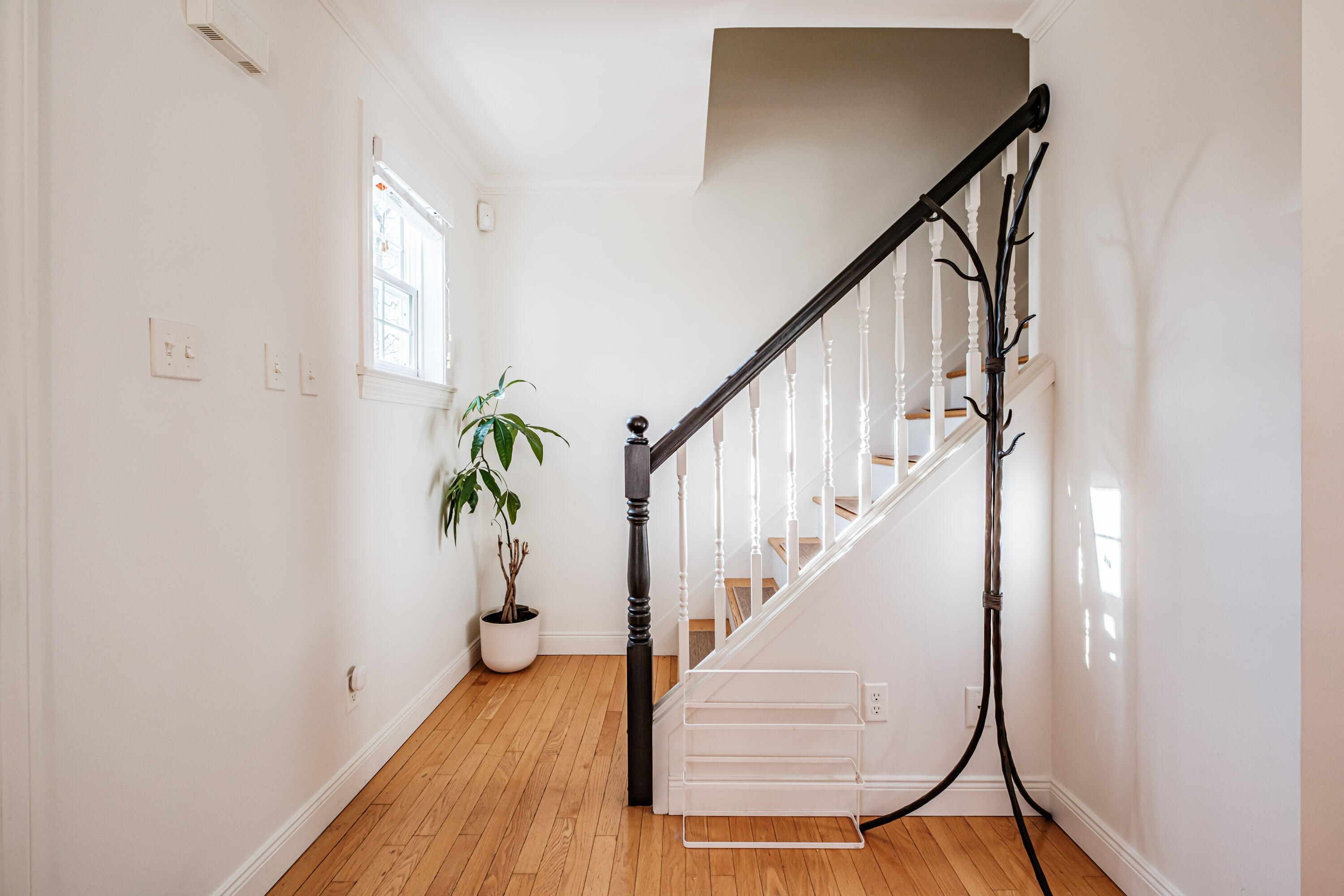 20 Tampa Street Portland ME 04103