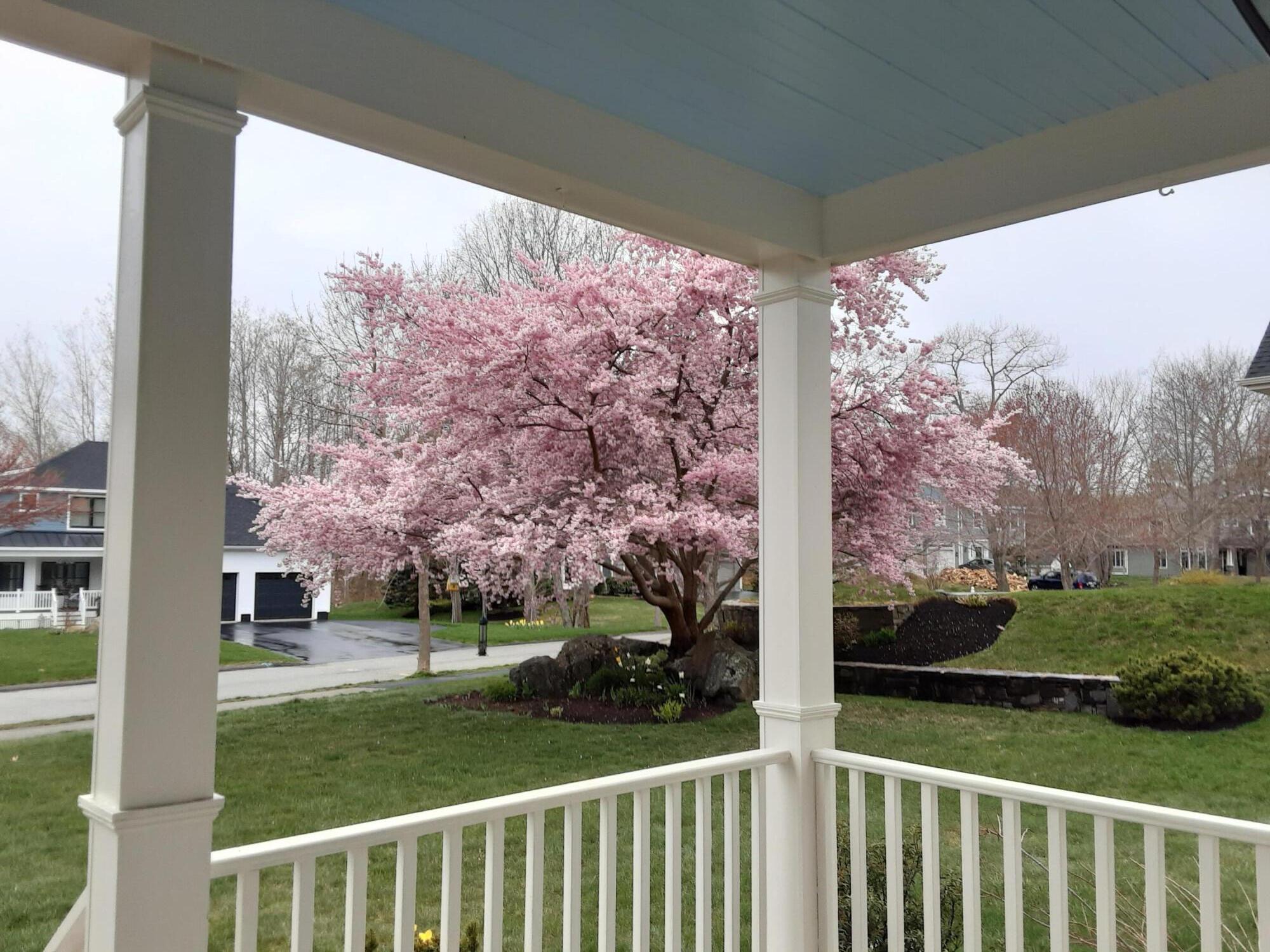 17 Cross Hill Road Cape Elizabeth ME 04107