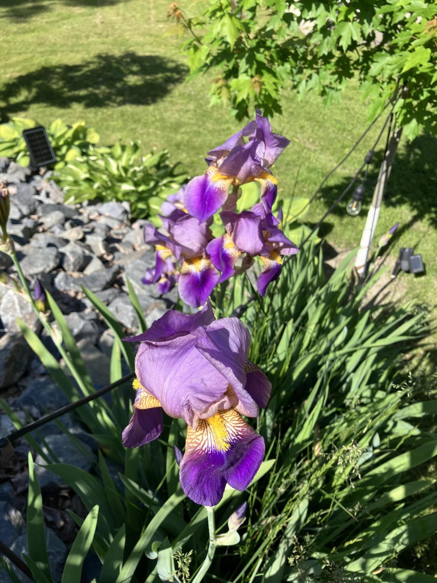 177 Buck Street Bangor ME 04401