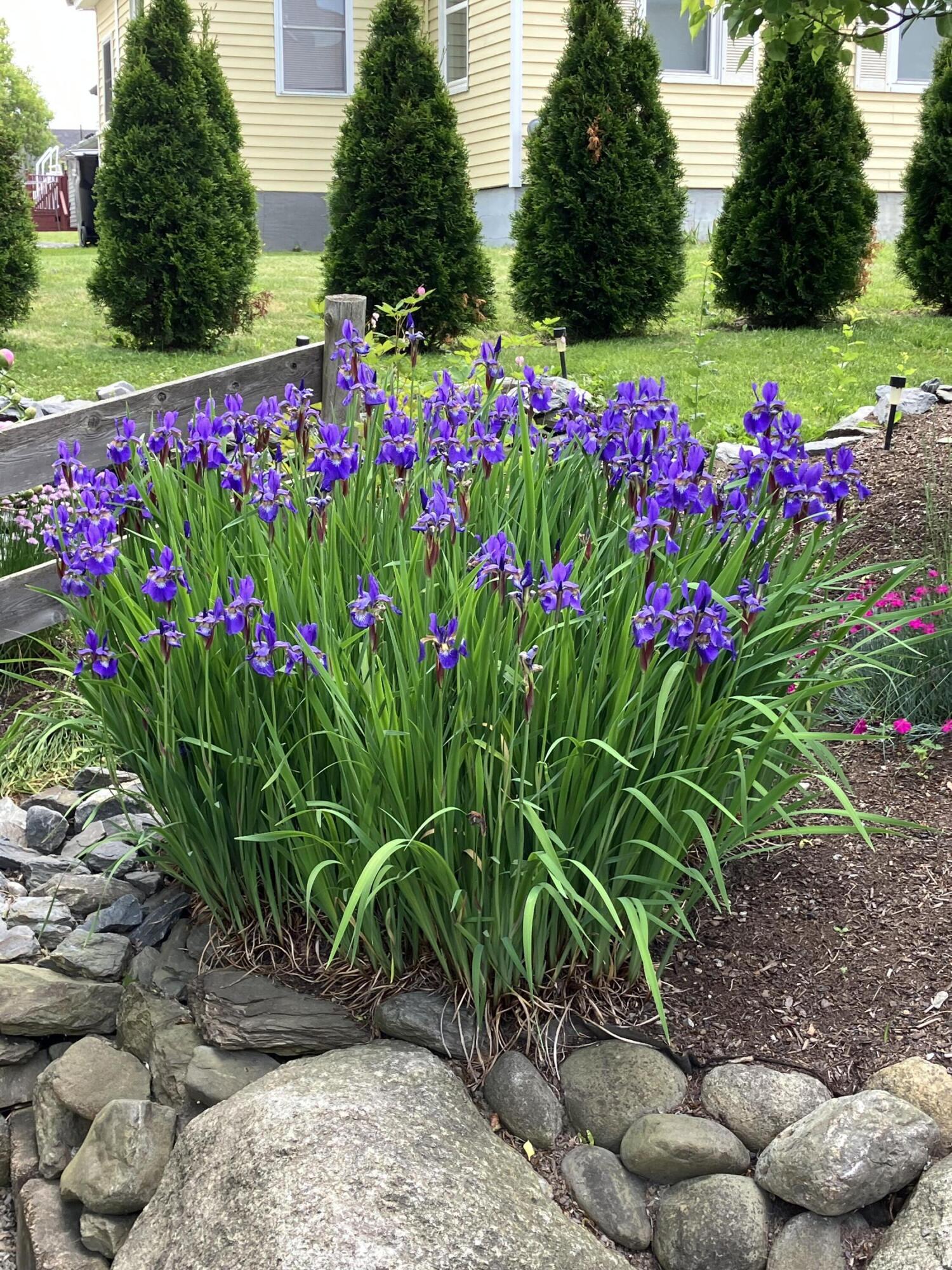 177 Buck Street Bangor ME 04401