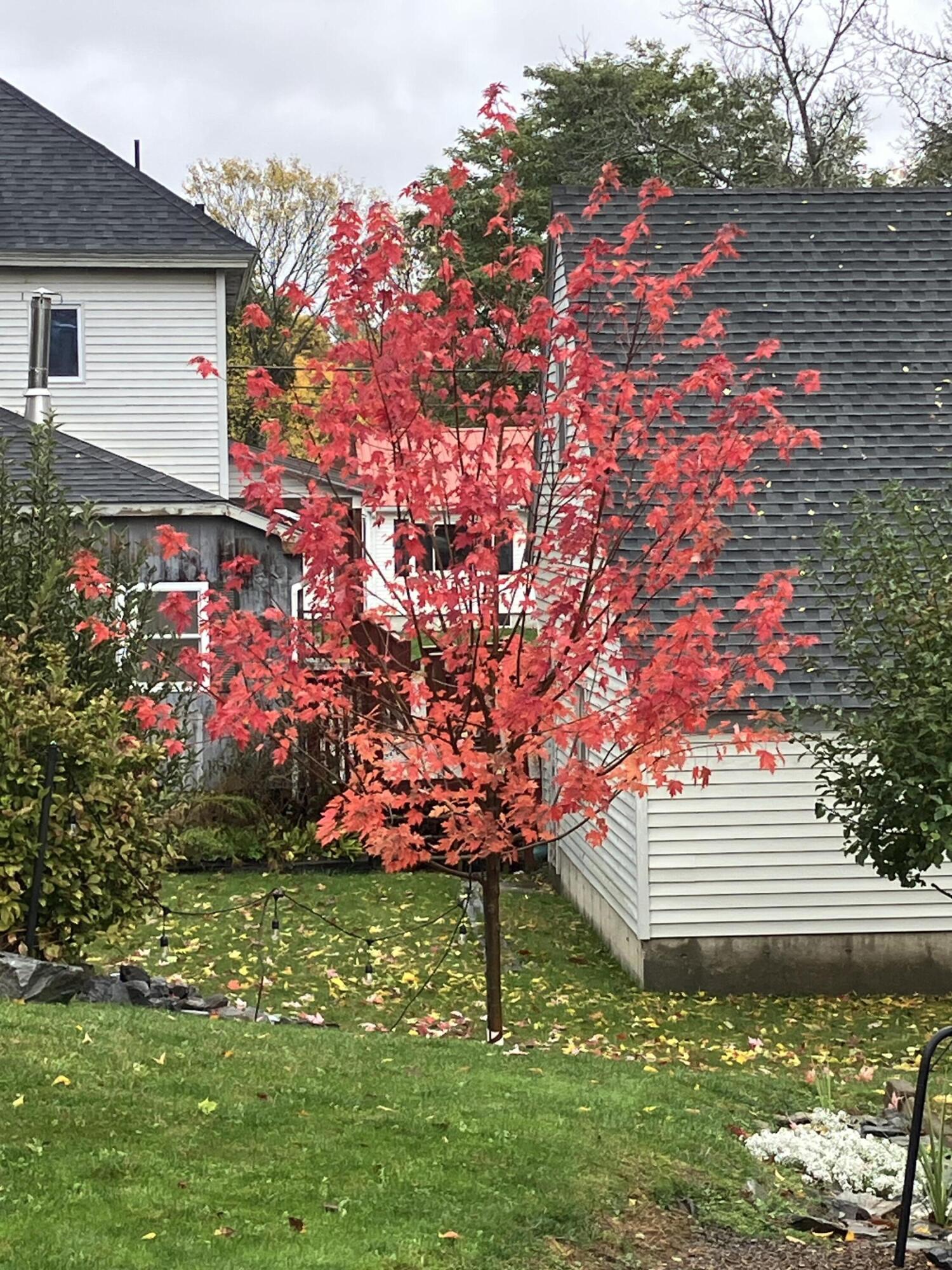 177 Buck Street Bangor ME 04401