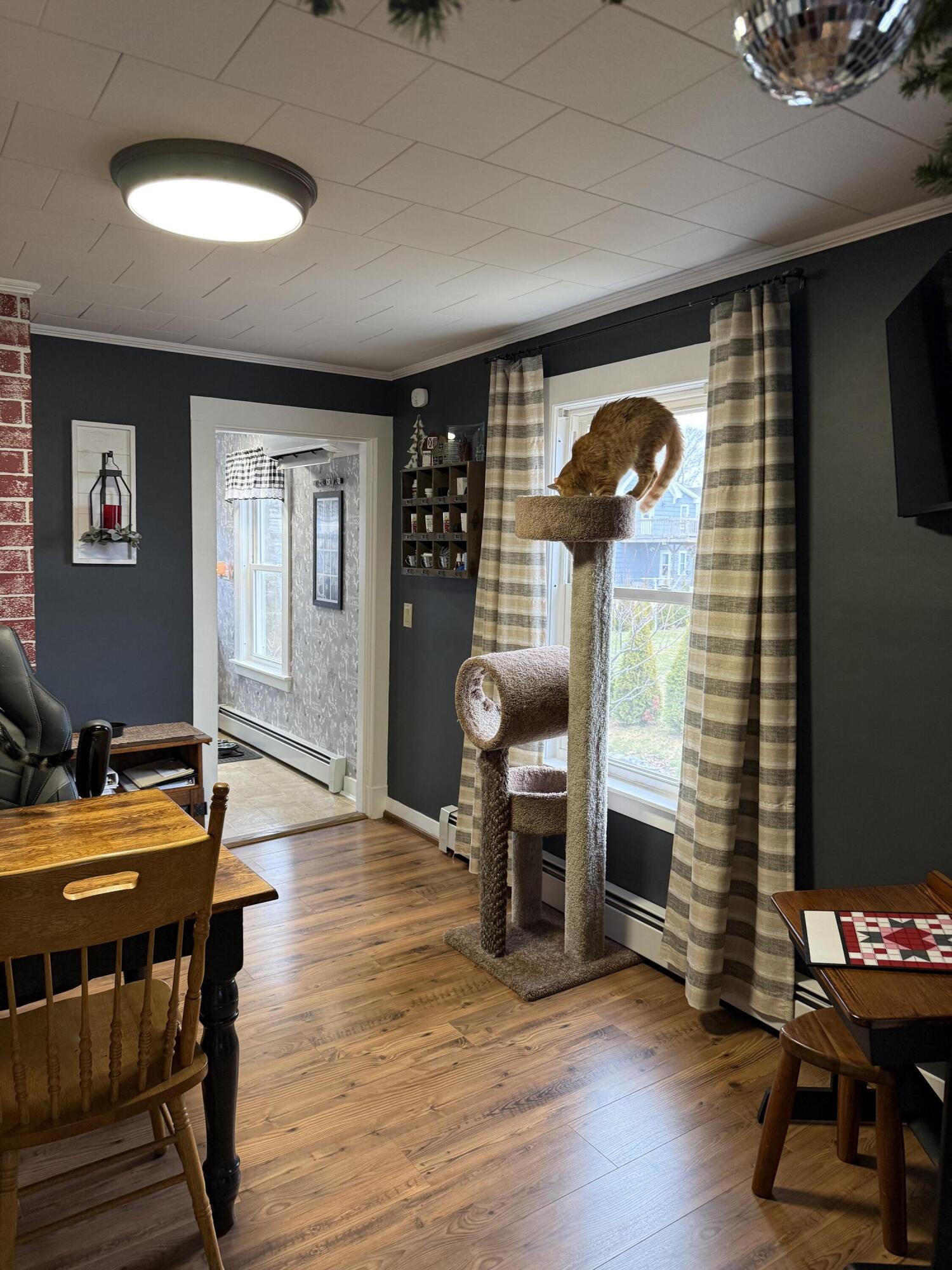 177 Buck Street Bangor ME 04401