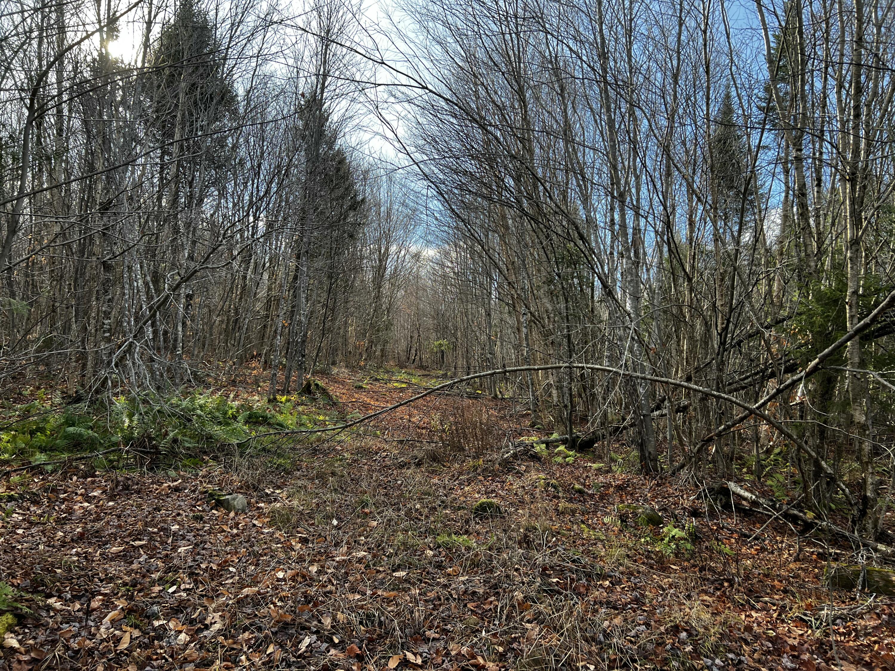 39-4 Fire Road Linneus ME 04730