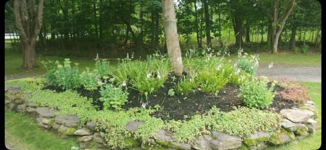 259 River Road Orrington ME 04474