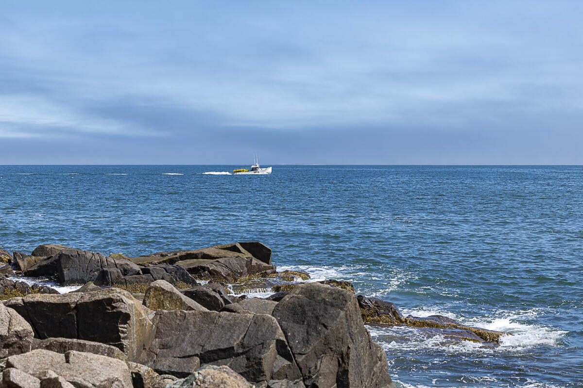 88 Cape Circle Addison ME 04606