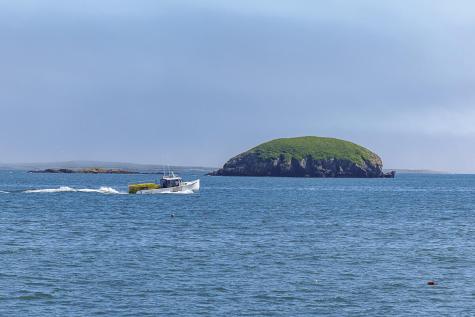 88 Cape Circle Addison ME 04606